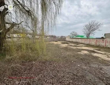 Други, Атанас Тарла, Варна