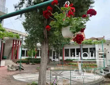 Други, Плевен, Северозападна България - снимка 13 от 18