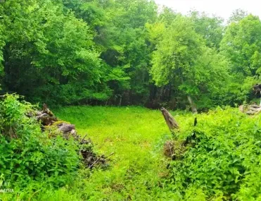 Къща, Пещера, Южна България - снимка 4 от 10