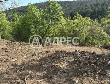 Парцел, Дъбрава, Стара Загора