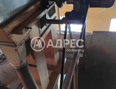 Производство, Каспичан, Североизточна България