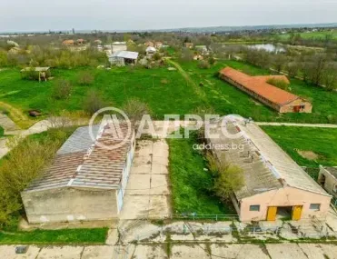 Производство, Долни Дъбник, Северозападна България - снимка 4 от 7