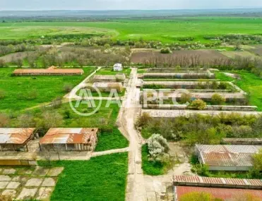 Производство, Долни Дъбник, Северозападна България - снимка 6 от 7