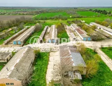 Производство, Долни Дъбник, Северозападна България - снимка 5 от 7