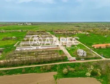 Производство, Долни Дъбник, Северозападна България