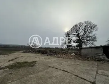 Склад, Генерал Тошево, Североизточна България - снимка 5 от 9