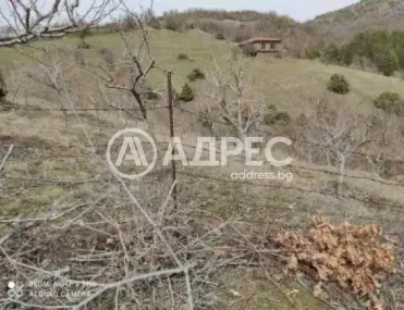 Земеделска земя, Покрайнини, Благоевград - снимка 3 от 6