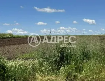Парцел, Чародейка, Русе