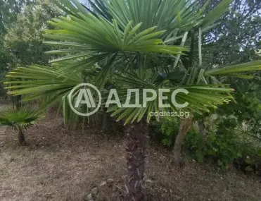 Парцел, Царево, Югоизточна България - снимка 11 от 17