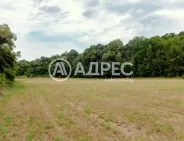 Парцел, Долни Чифлик, Североизточна България - снимка 10 от 12