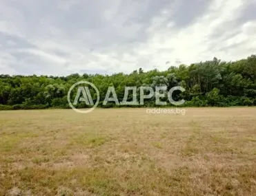 Парцел, Долни Чифлик, Североизточна България - снимка 8 от 12