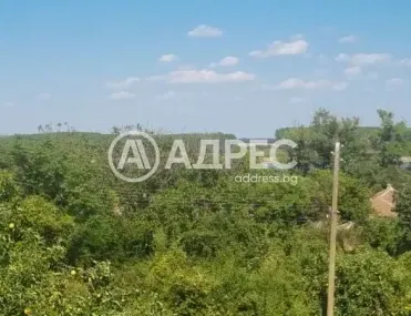 Къща, Видин, Северозападна България - снимка 9 от 17