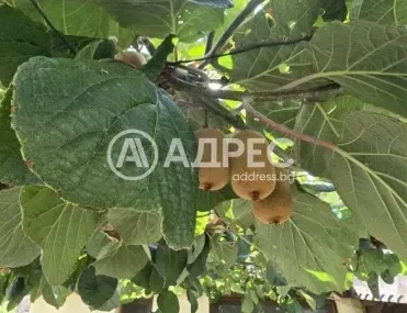 Къща, Ямбол, Югоизточна България - снимка 6 от 27