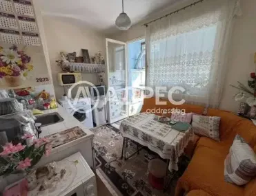 1-стаен, Плевен, Северозападна България