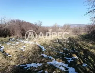 Парцел, Нови Пазар, Североизточна България - снимка 3 от 7