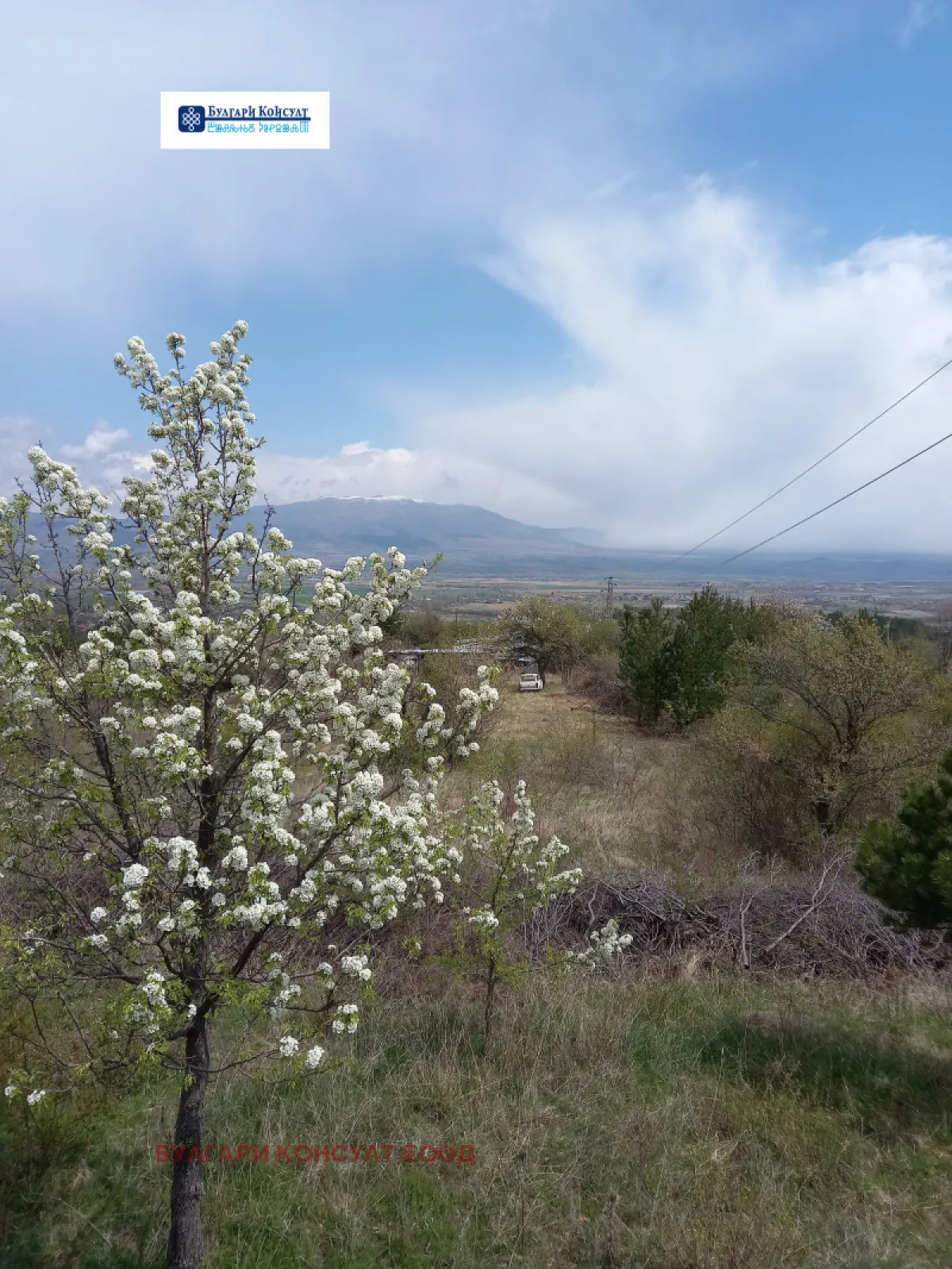 Вила, Кюстендил, Югозападна България - снимка 8 от 14