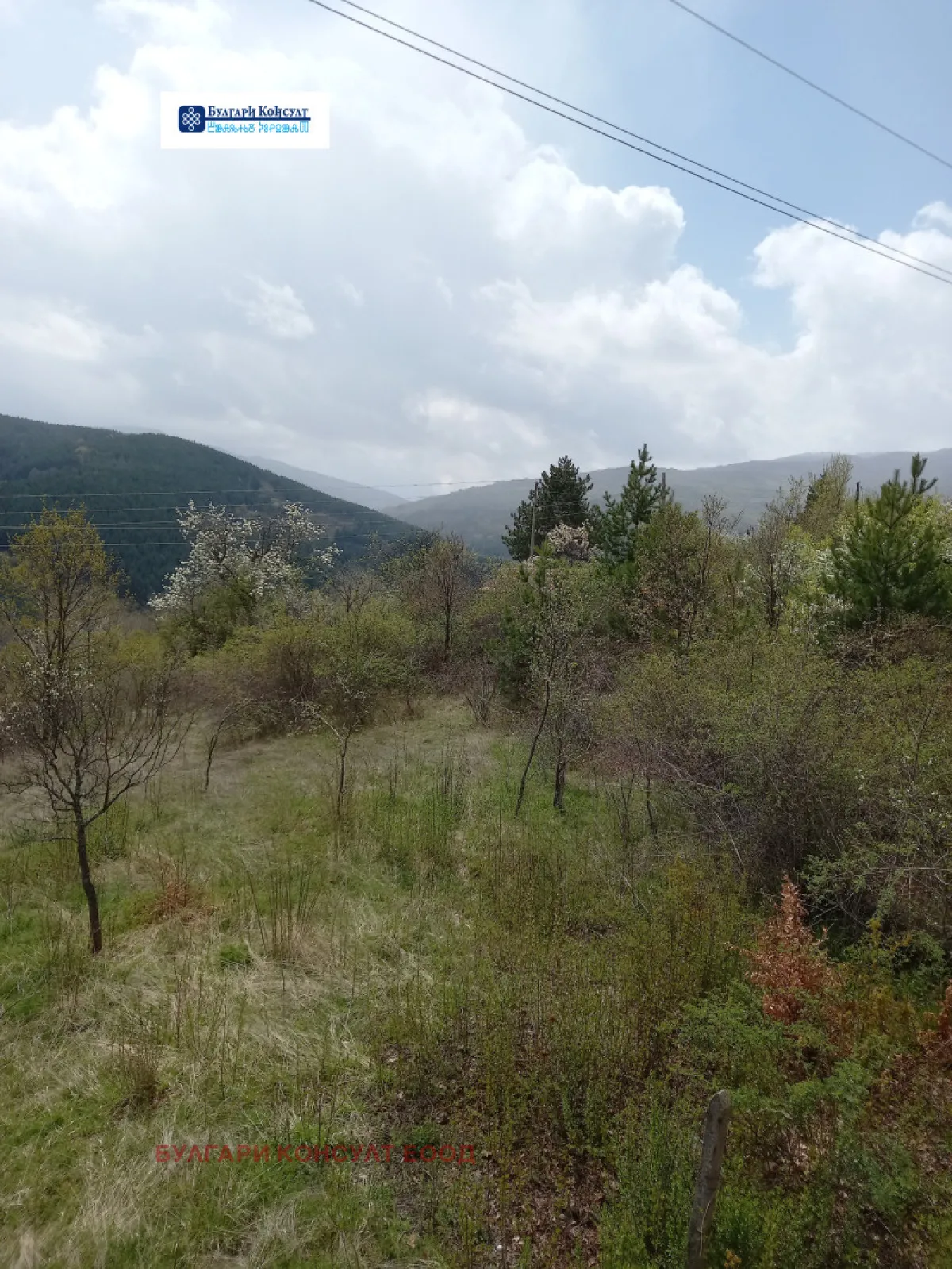 Вила, Кюстендил, Югозападна България - снимка 5 от 14