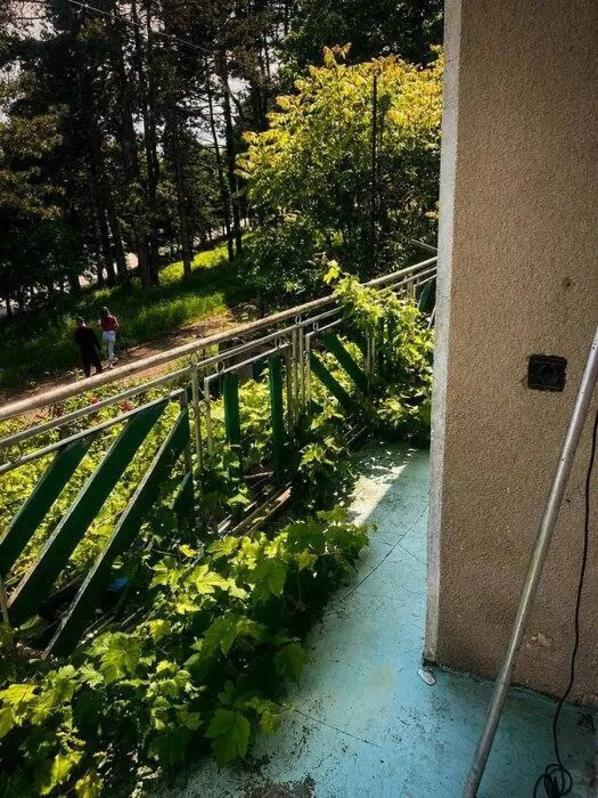 Къща, Ветово, Северна България - снимка 3 от 9