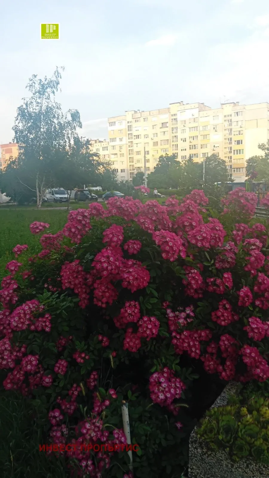 Многостаен, Люлин 4, София - снимка 4 от 18