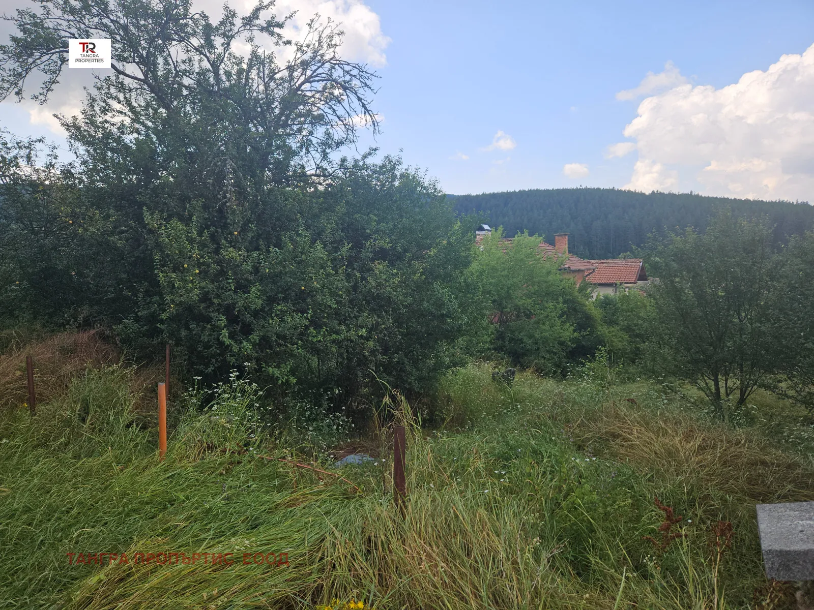 Етаж от къща, Радомир, Югозападна България - снимка 4 от 15