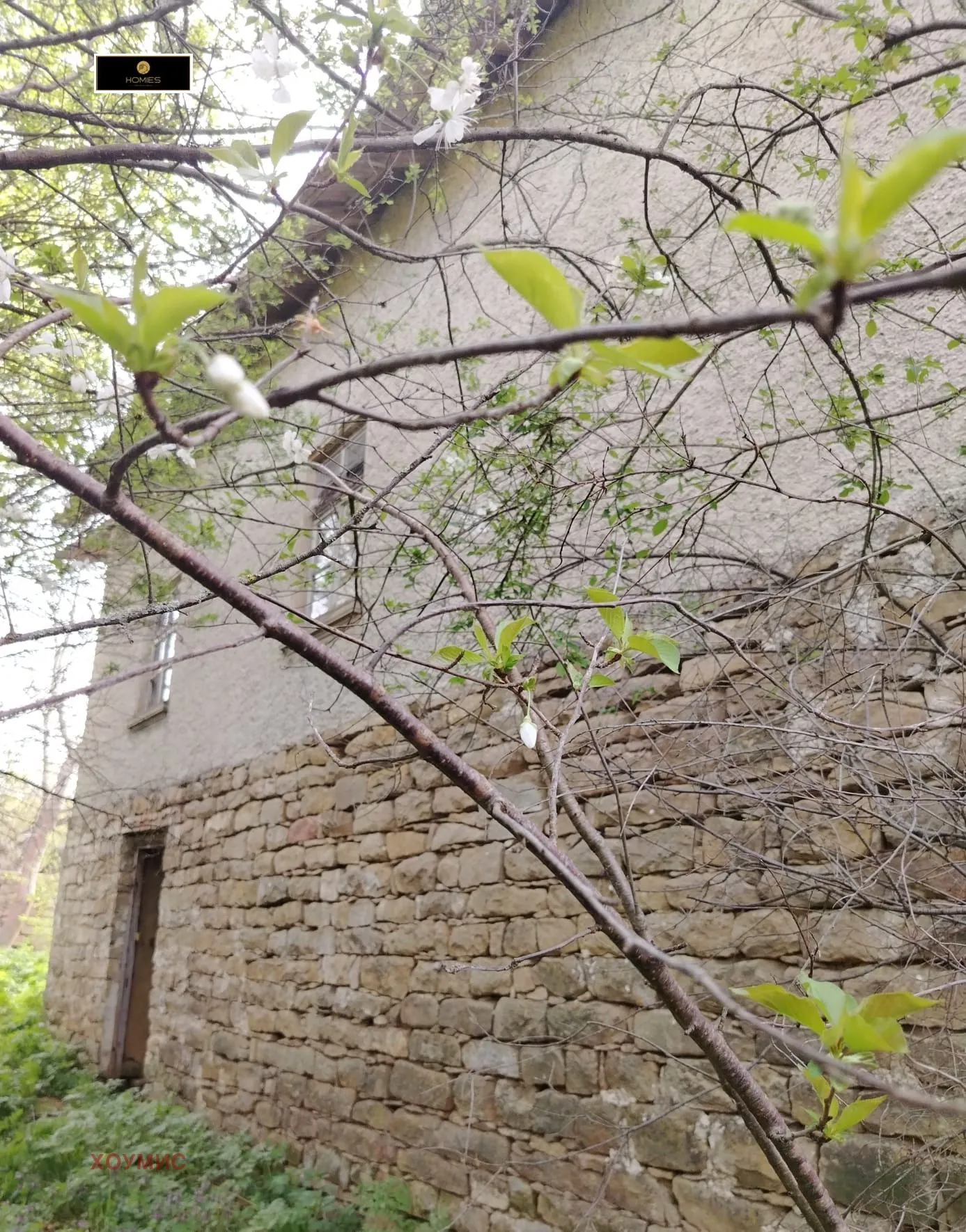 Къща, Търговище, Североизточна България - снимка 10 от 11