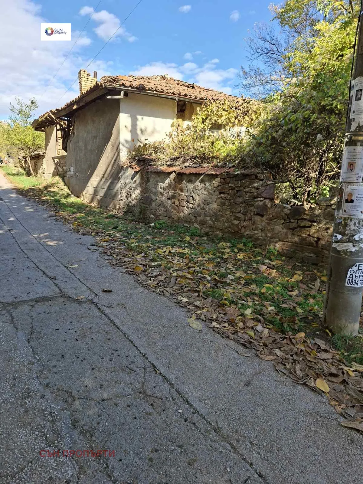 Property
