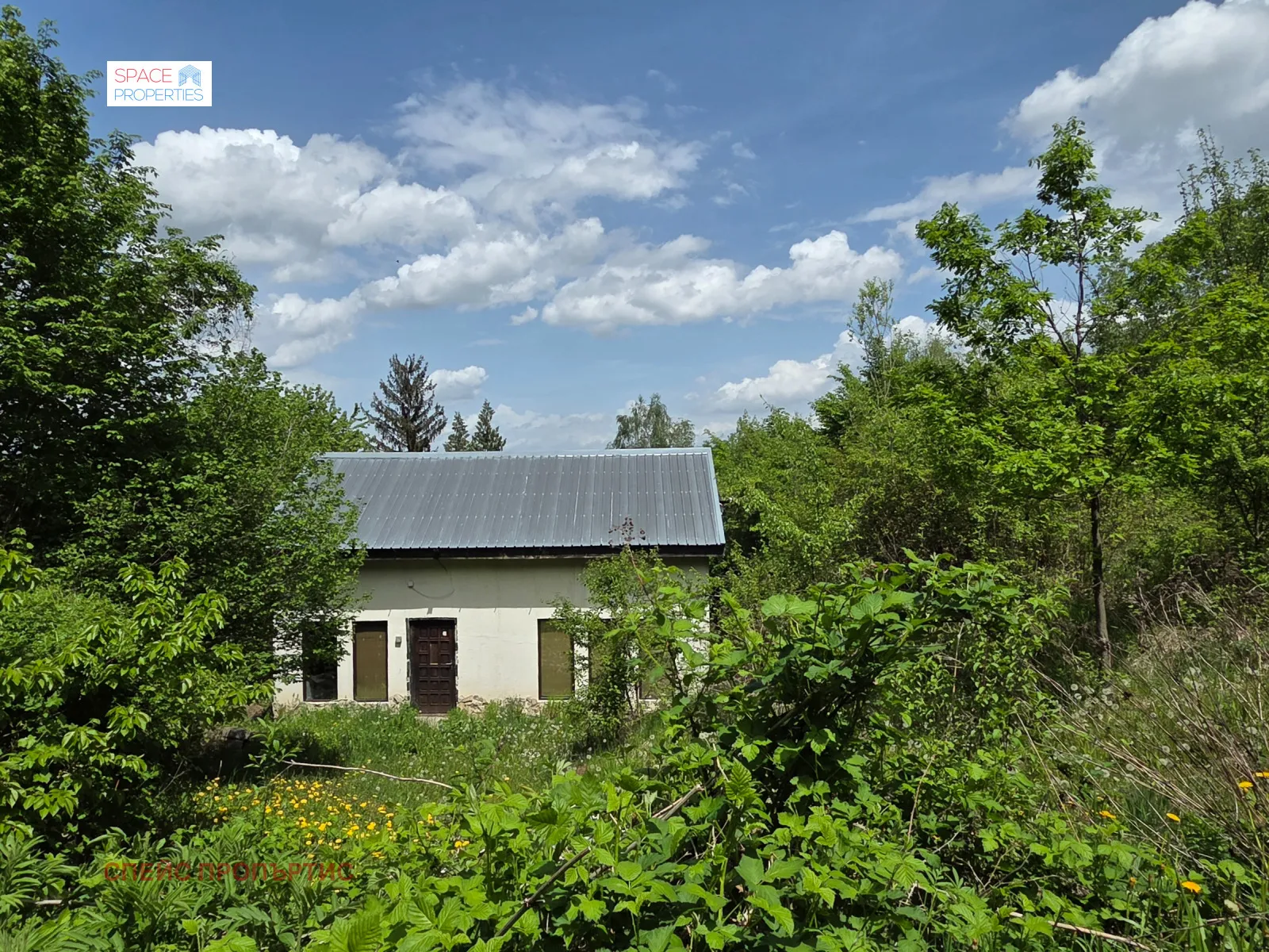 Property
