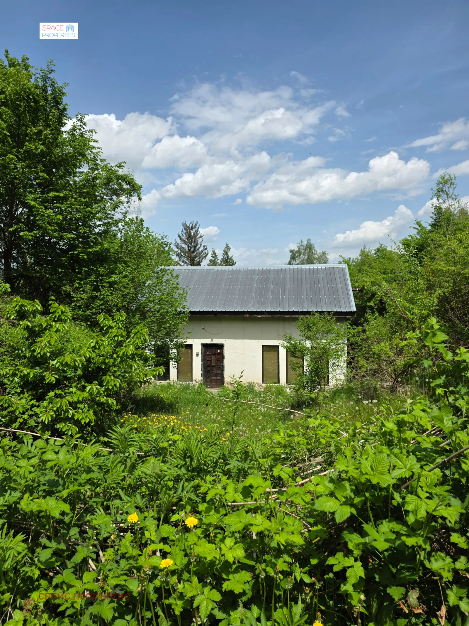 Property