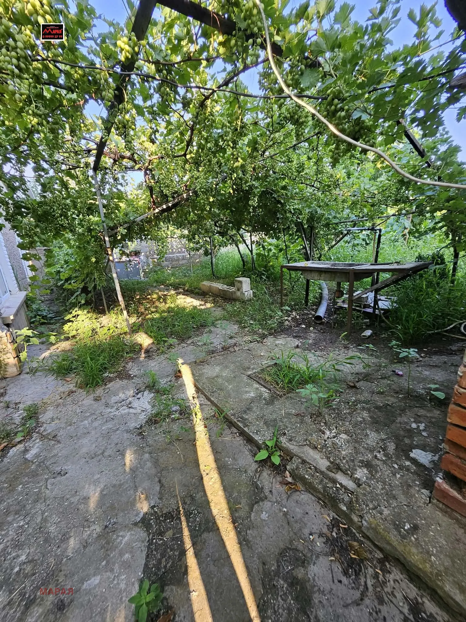 Къща, Силистра, Северна България - снимка 4 от 15