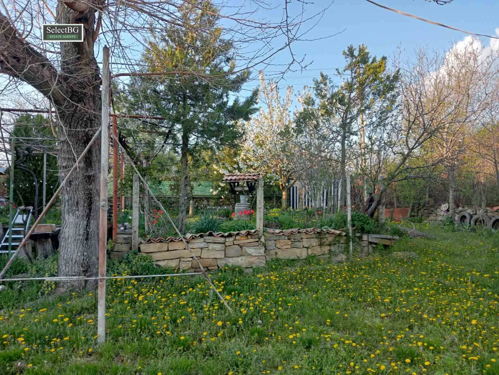 Къща, Търговище, Североизточна България - снимка 9 от 18