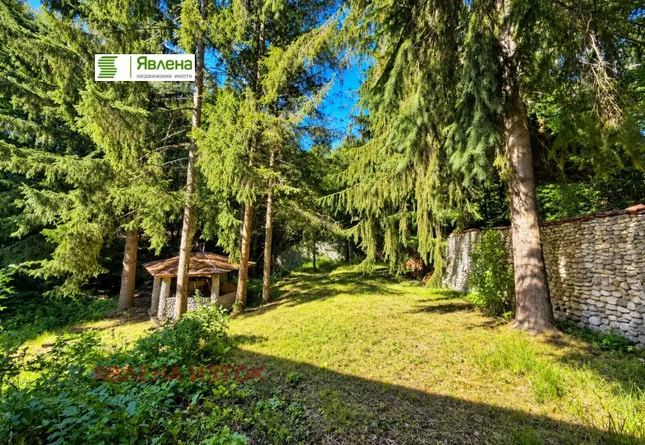 Къща, с. Пасарел, София