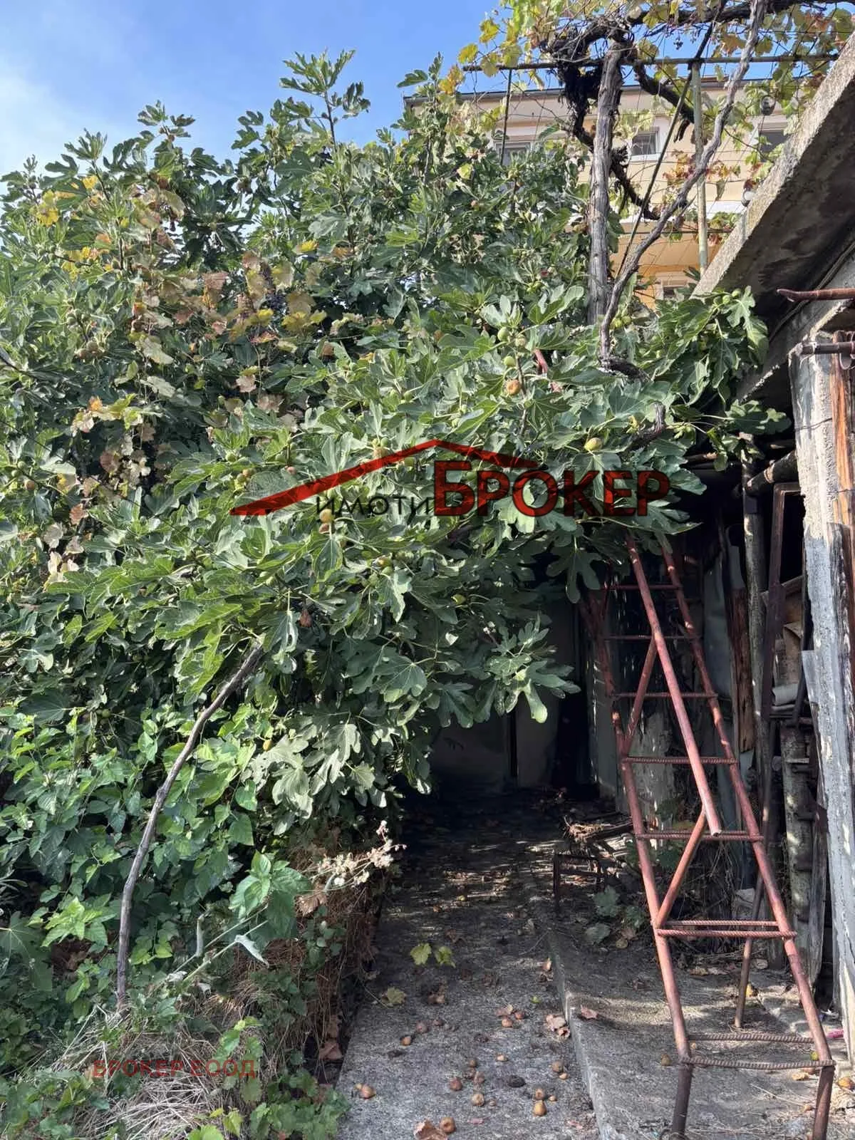 Къща, Сливен, Югоизточна България - снимка 7 от 18