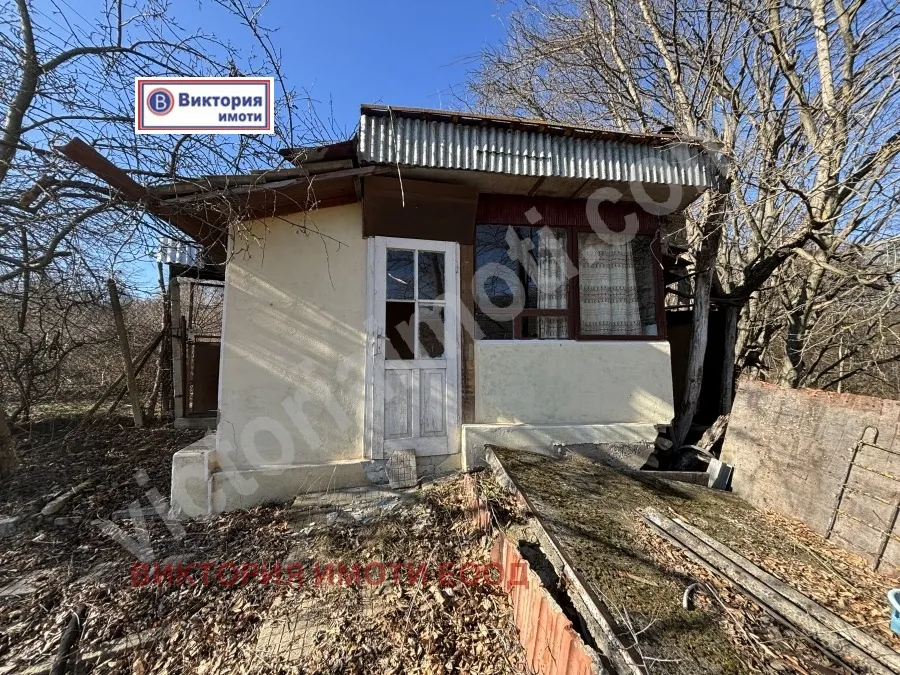 Вила, Велико Търново, Северна България