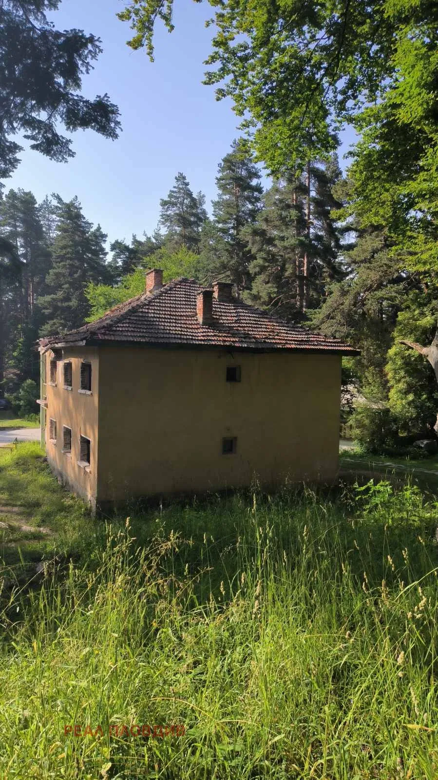 Вила, Пазарджик, Южна България