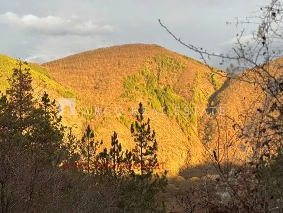 Вила, Своге, Югозападна България - снимка 10 от 14