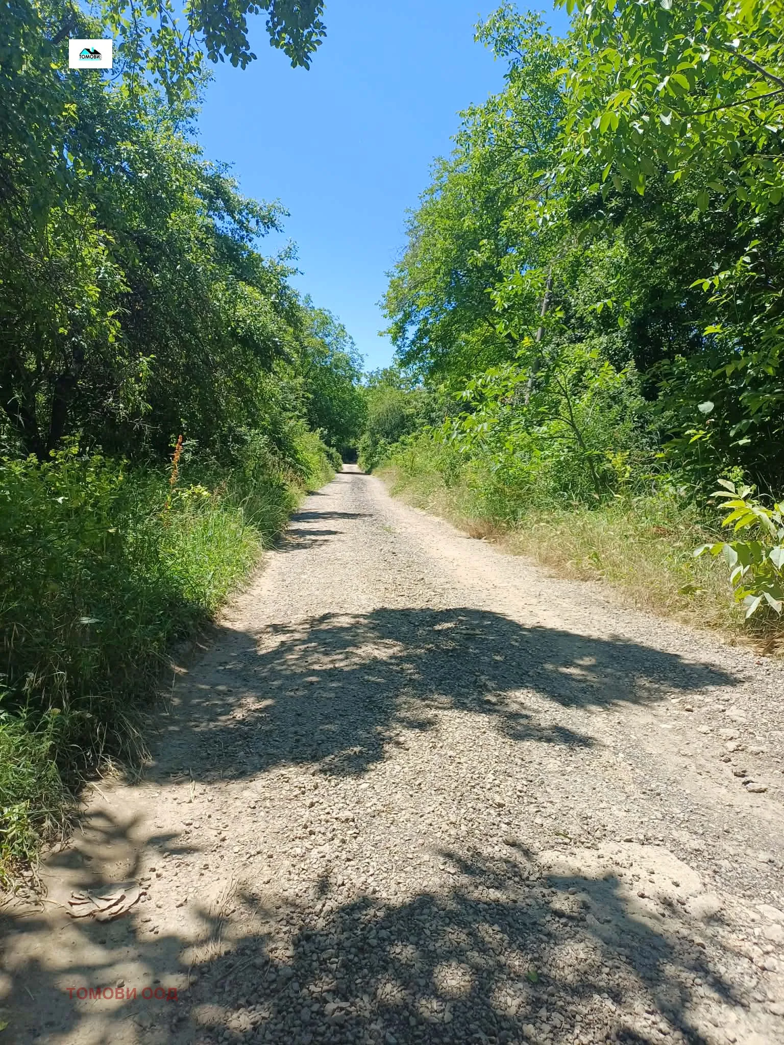 Вила, Враца, Северозападна България - снимка 3 от 8