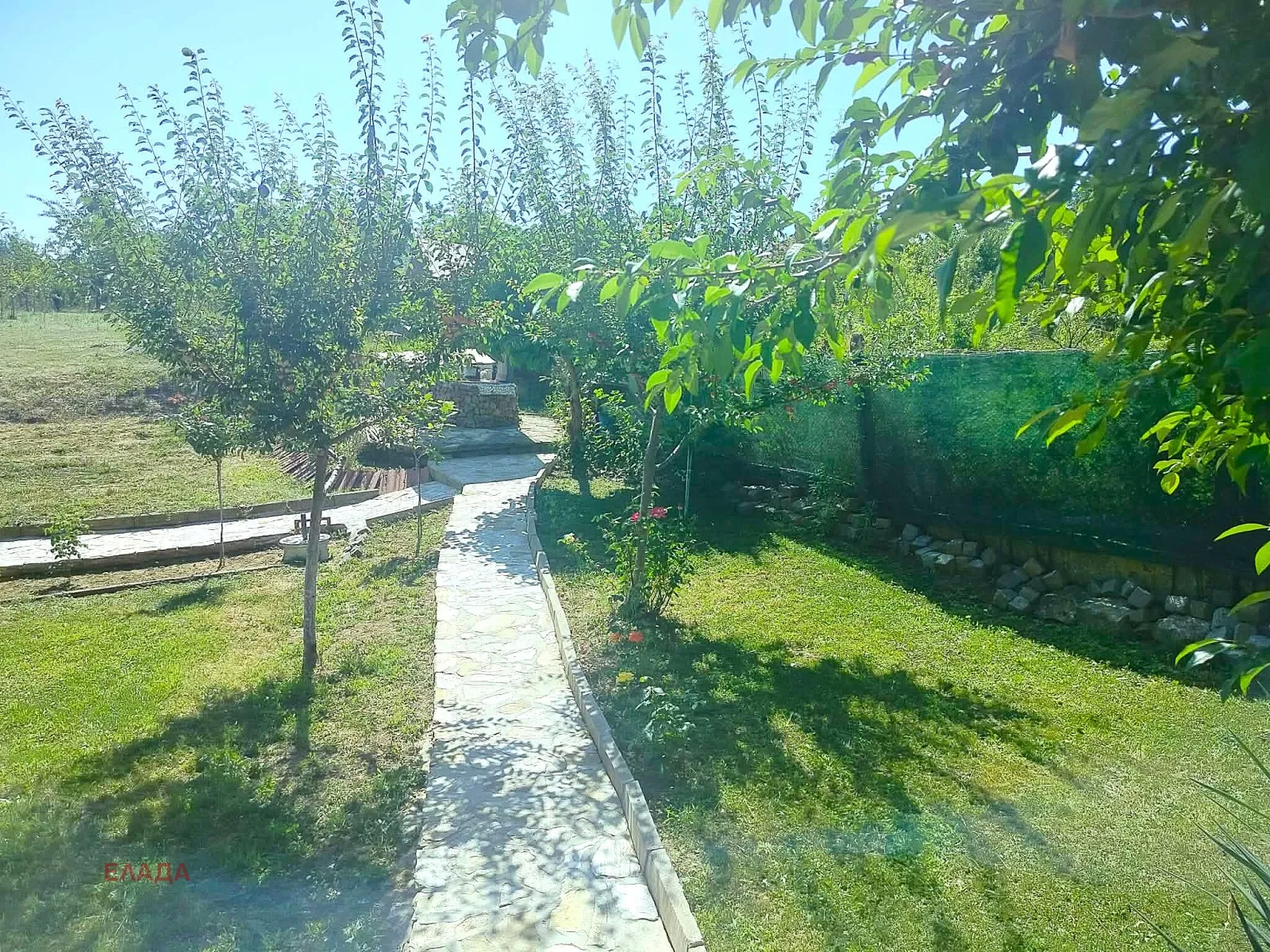 Вила, Враца, Северозападна България - снимка 14 от 15