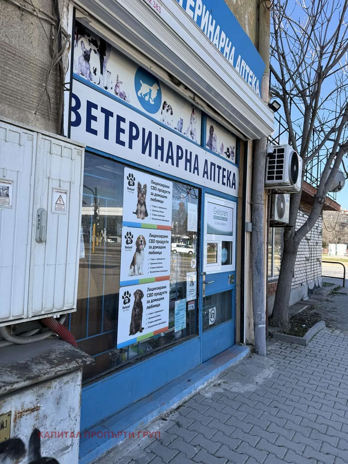 Магазин, Банишора, София