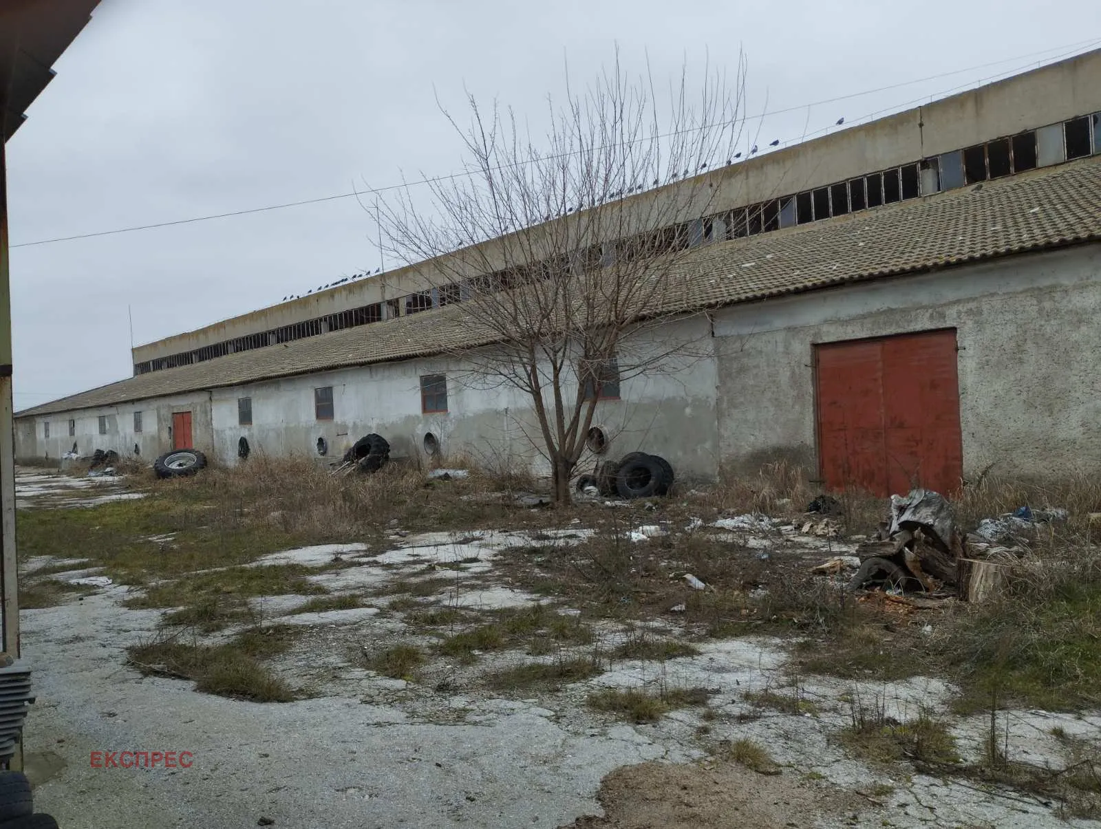 Други, Разград, Северна България - снимка 2 от 4