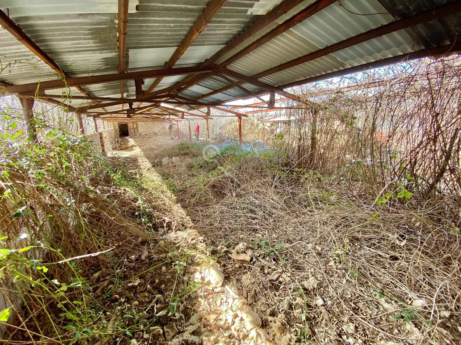 Други, Елена, Северна България - снимка 3 от 18