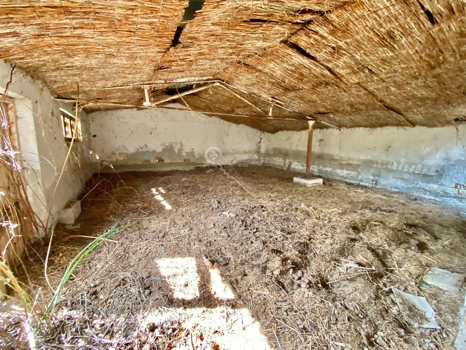 Други, Елена, Северна България - снимка 4 от 18