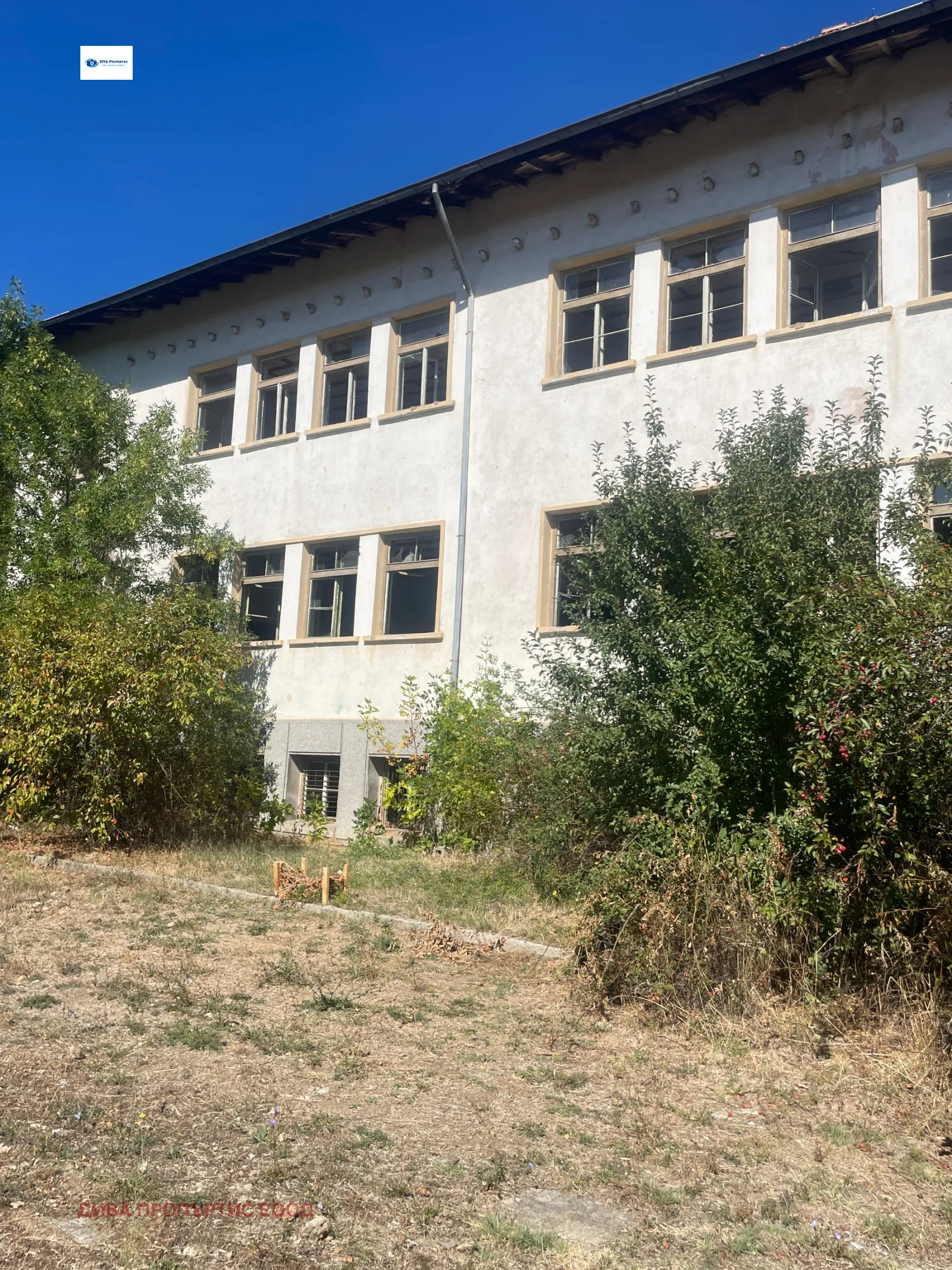 Property