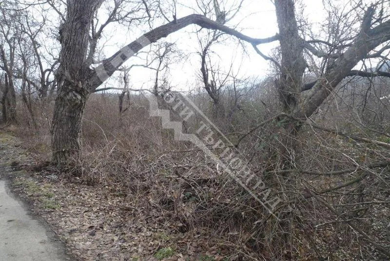 Парцел, Елена, Северна България - снимка 7 от 8