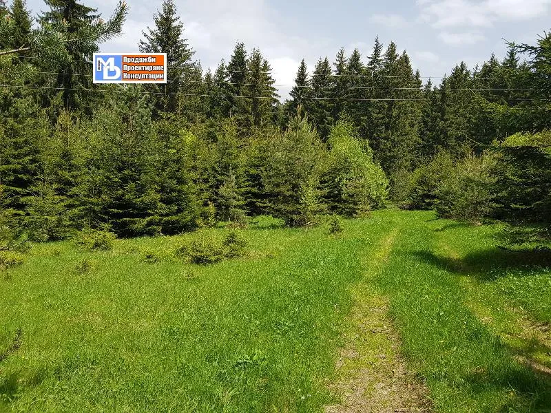 Парцел, Самоков, Югозападна България - снимка 5 от 9
