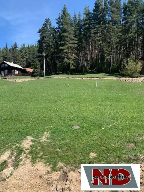 Парцел, Велинград, Южна България - снимка 2 от 4