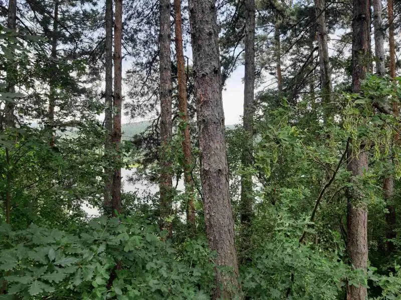 Парцел, Център Юг, София - снимка 2 от 13