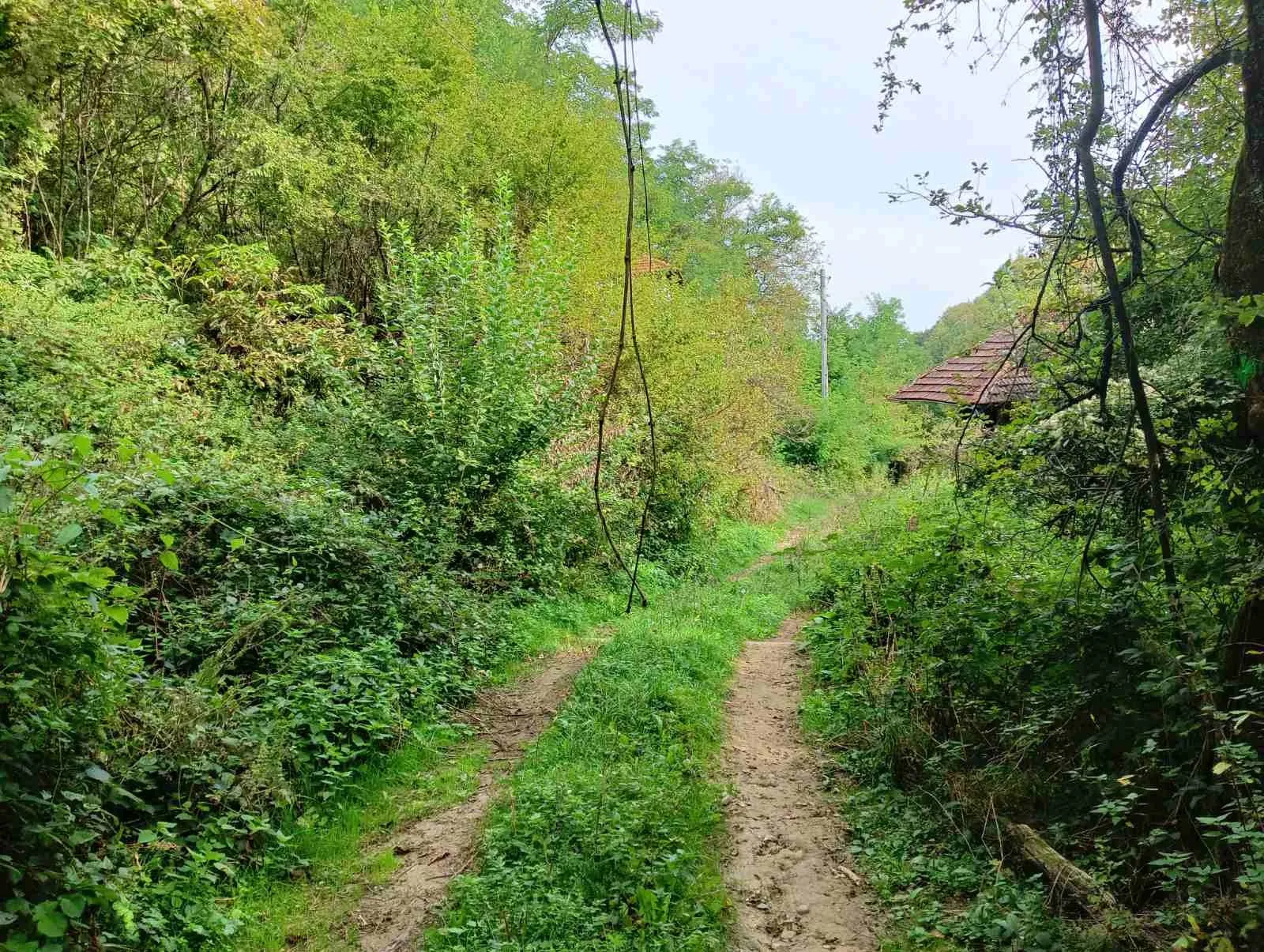 Парцел, Габрово, Северна България - снимка 4 от 6