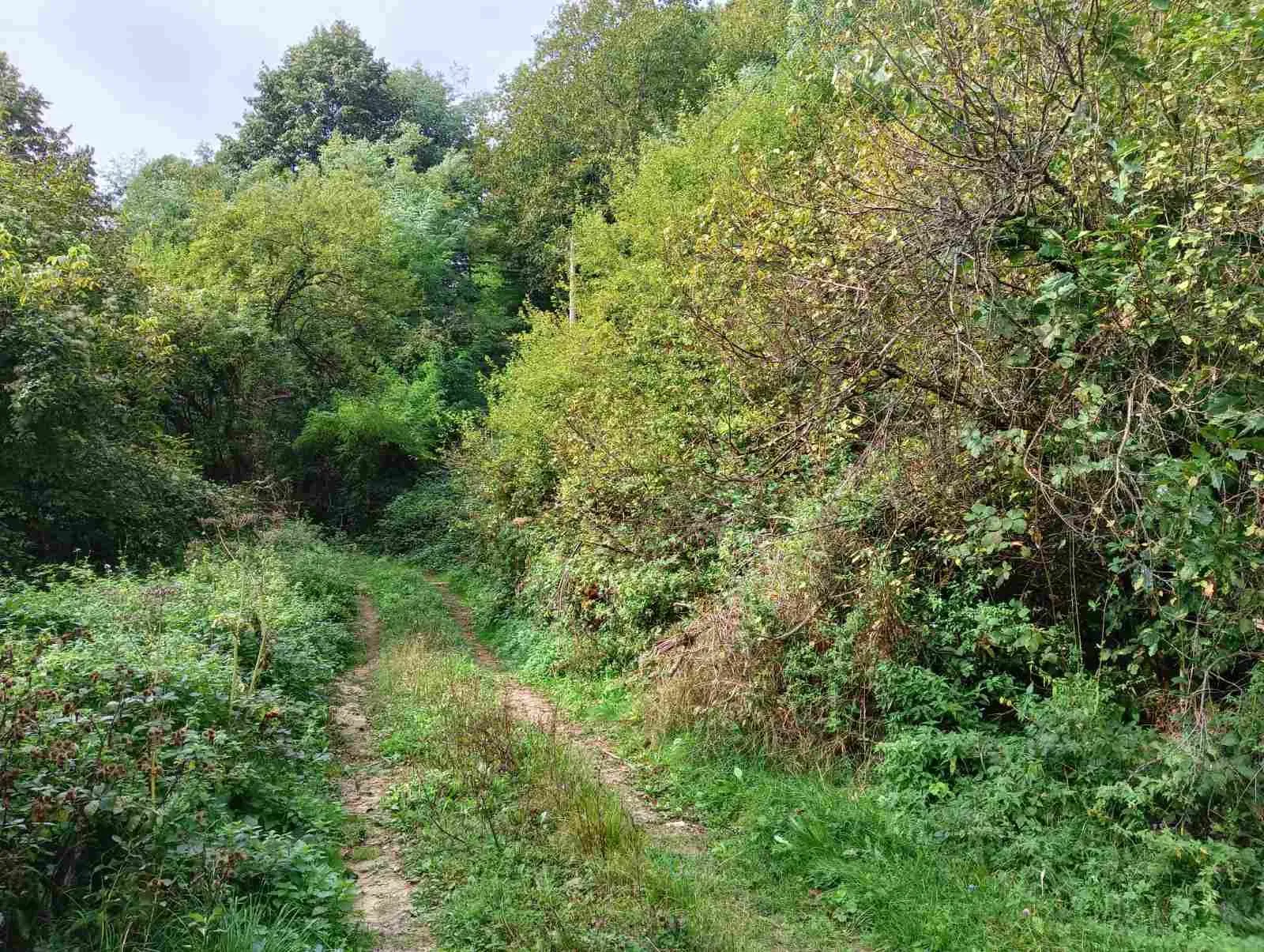 Парцел, Габрово, Северна България - снимка 3 от 6