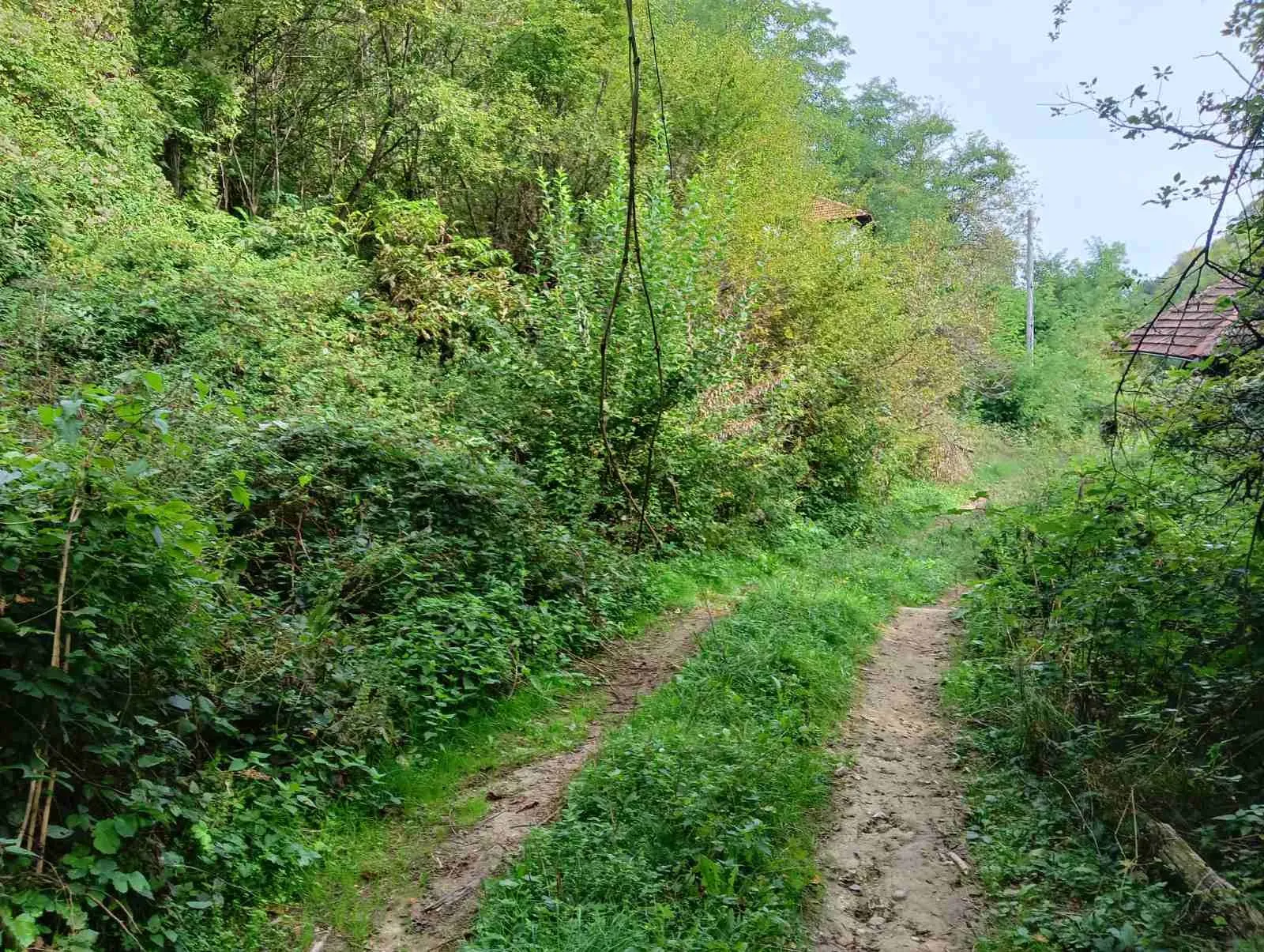 Парцел, Габрово, Северна България - снимка 2 от 6