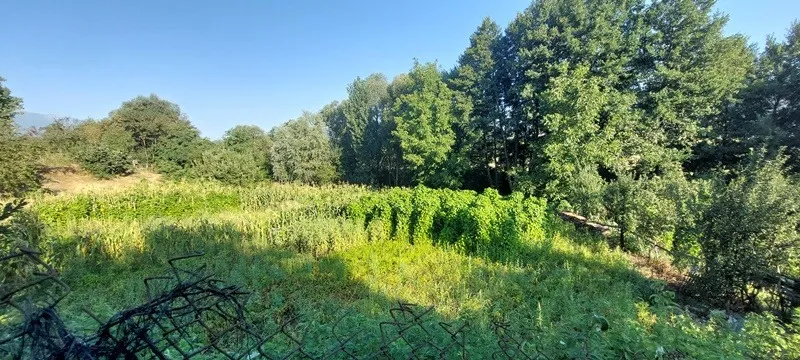 Парцел, Покрайнини, Благоевград - снимка 7 от 8